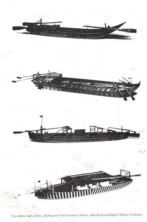 4 verschiedene Arten von Zillen